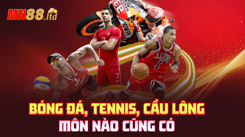 Bóng đá, tennis, cầu lông – Môn nào cũng có