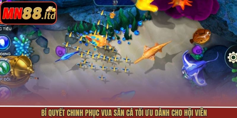 Bí quyết chinh phục vua săn cá tối ưu dành cho hội viên